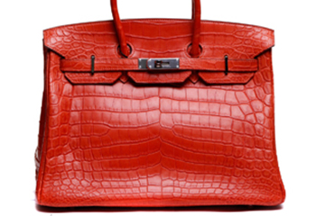 Hermes Birkin（鳄鱼皮）清洗护理