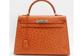 Hermes Birkin（鸵鸟皮）清洗护理